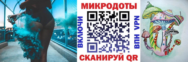 Купить  Черноголовка  Галлюциногенные грибы GOLDEN TEACHER 